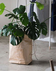 Sac en kraft brun 66L - ASL