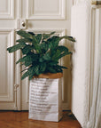 Sac en papier 33L - ASL