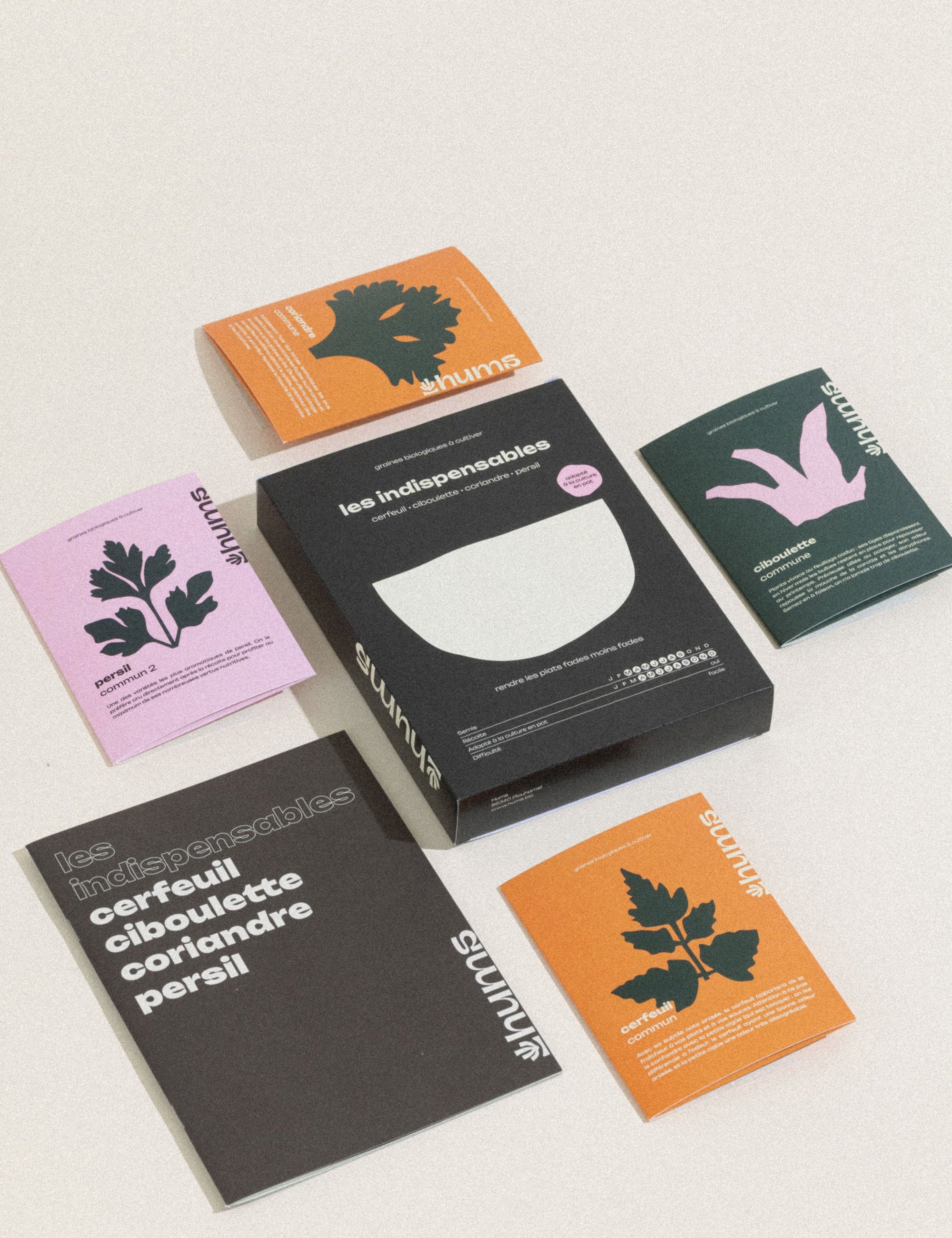 Kit de graines bio d'herbes aromatiques "LES INDISPENSABLES" - Hums
