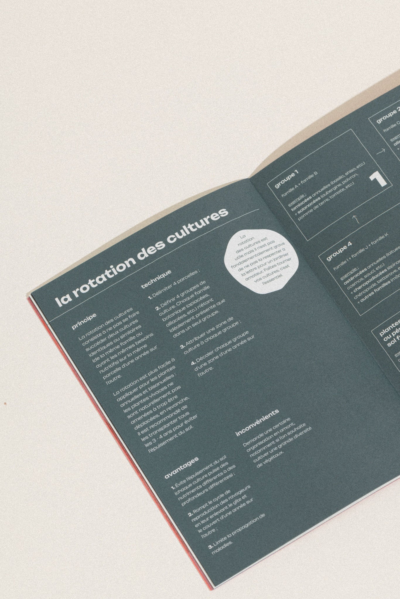 Le mini guide "Démarrer son potager" - Hums