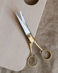 Ciseaux en laiton - Petit modèle