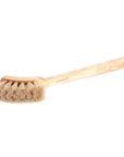 Brosse à Vaisselle en crin de Cheval et Bouleau huilé - Iris Hantverk