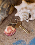 Porte-clés en bois Pétoncle