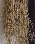 Balayette japonaise en bambou - Niwaki