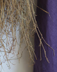 Balayette japonaise en bambou - Niwaki