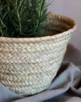 Panier cache pot