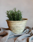 Panier cache pot