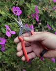 Sécateur à fleurs japonais forgé - Niwaki