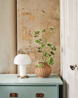 Vase Olive terracotta - grand