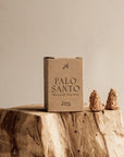 Cône d'encens palo santo avec boîte