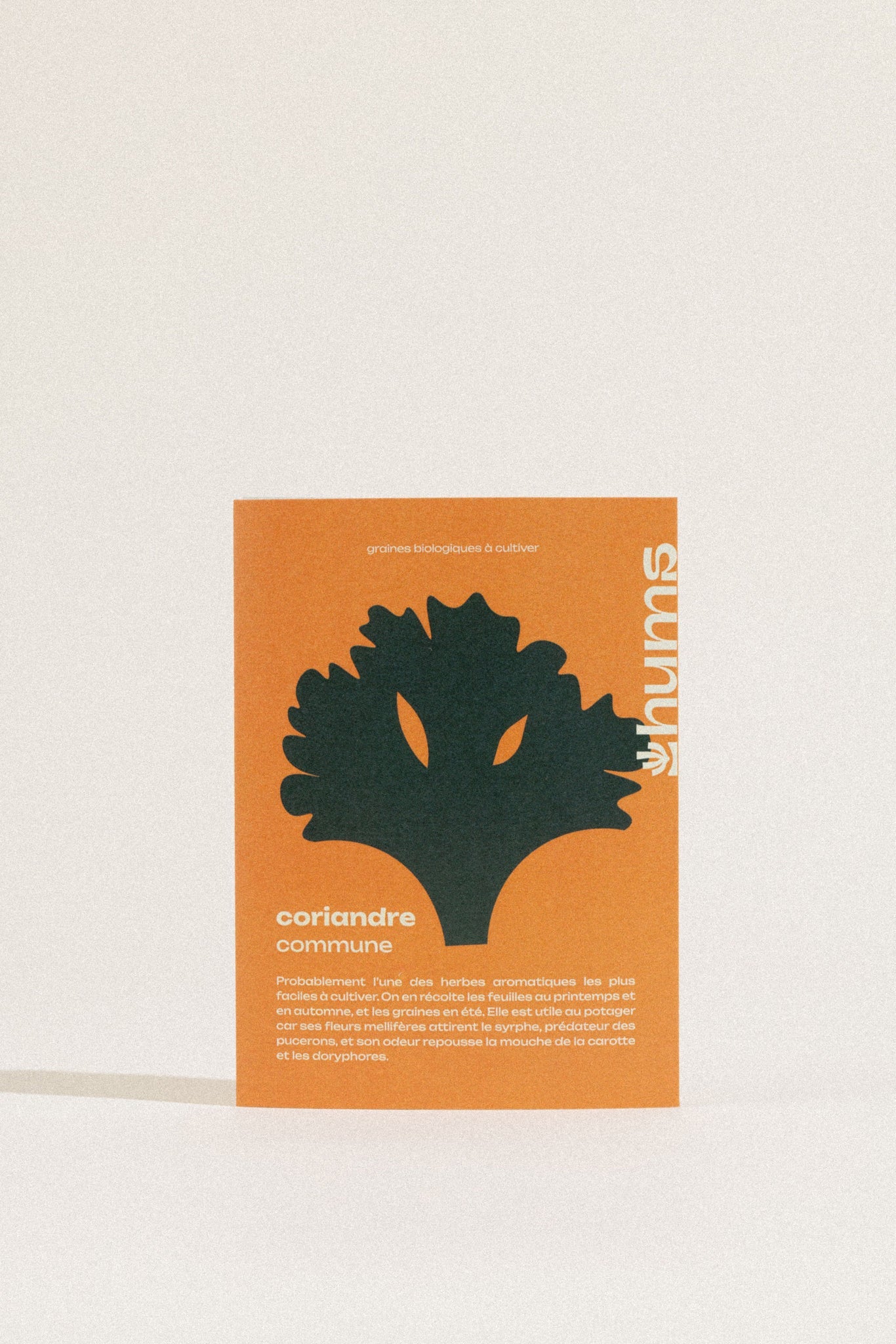 Sachet de graines bio &quot;CORIANDRE COMMUNE&quot; - Hums