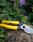 Sécateur japonais Mainichi Snips - Acier carbone SK-85 - Niwaki x Maison Farigoulette5
