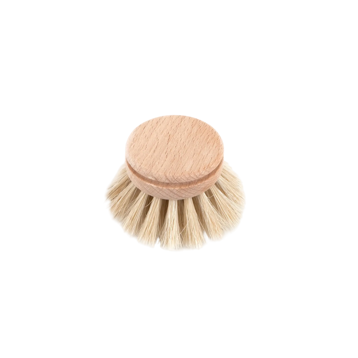 Tête de recharge pour brosse à vaisselle – Fibre de tampico &amp; bouleau huilé