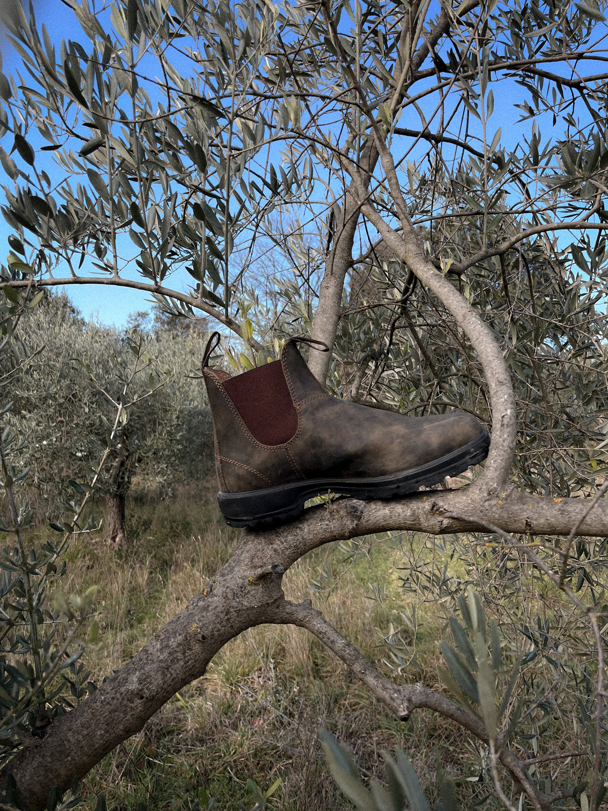 CHELSEA BOOTS - rustic brown 585 - BLUNDSTONE
